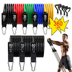 Workout Bar & Resistance Bands Set – Pilates & Home Strength Training Kit